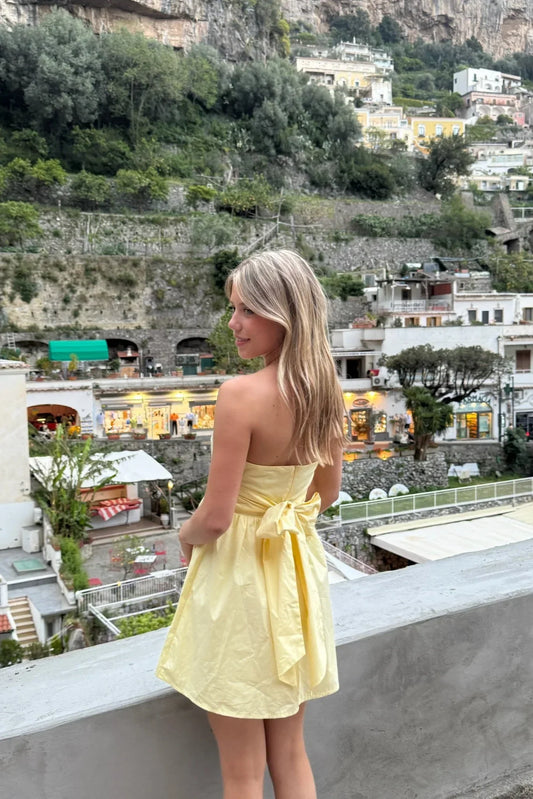 Zaya Mini Dress